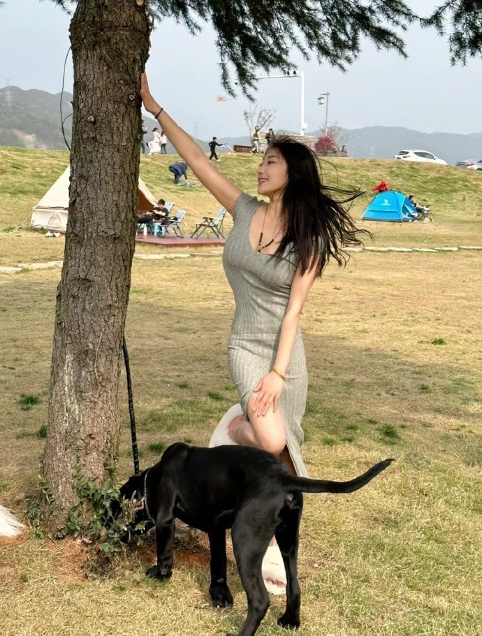 我的团长我的团 封面